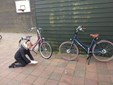 IMG_20220406_130632384