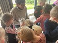IMG-20230215-WA0016